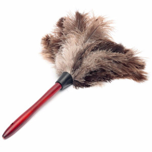 Feather Duster For Audio System /Deck Cleaner/