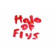 HALO OF FLYS