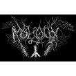 MOLOCH